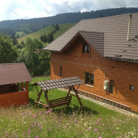 Карпатська Перлина Appartement Iltsi Buitenkant foto