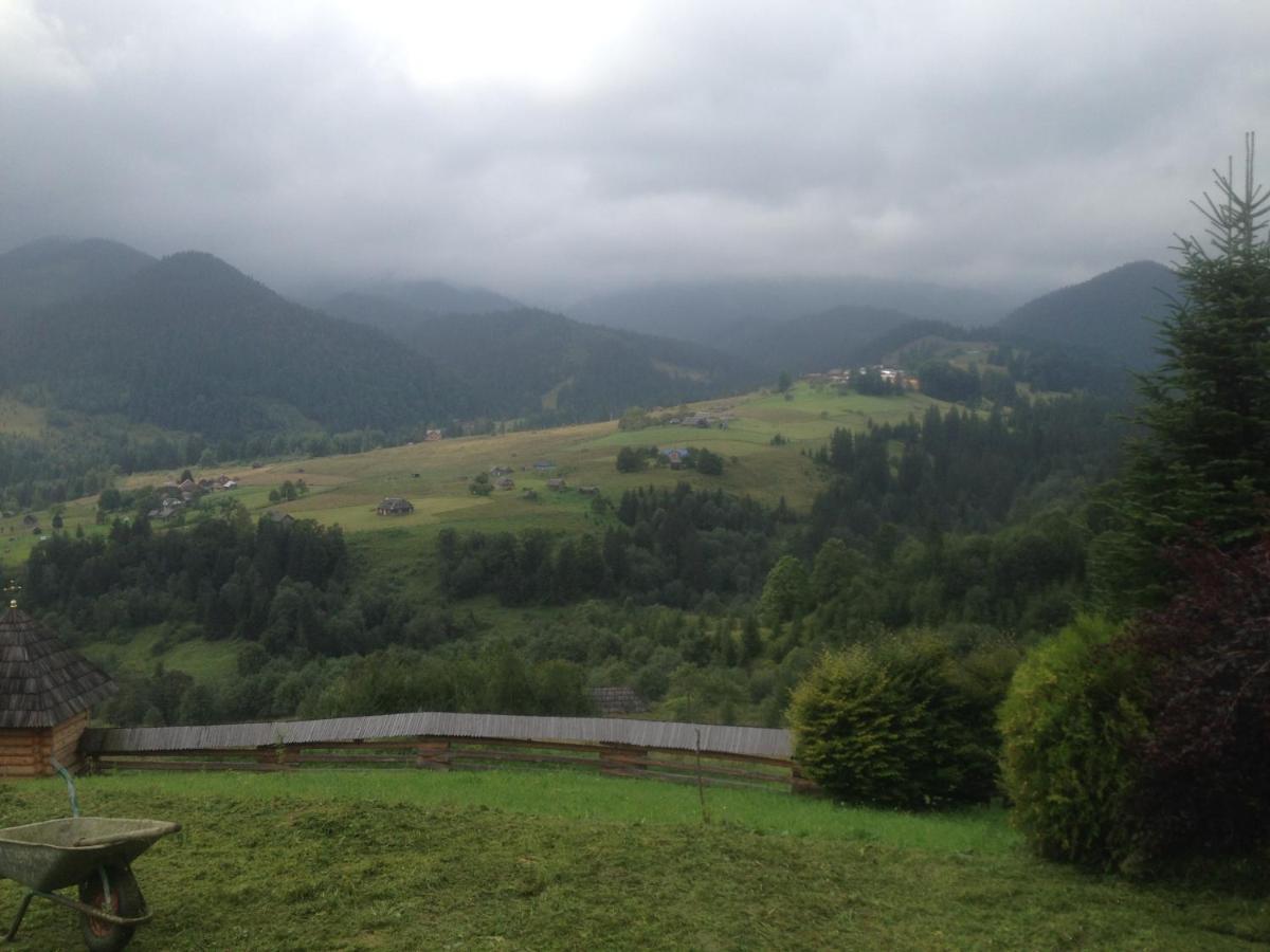 Карпатська Перлина Appartement Iltsi Buitenkant foto