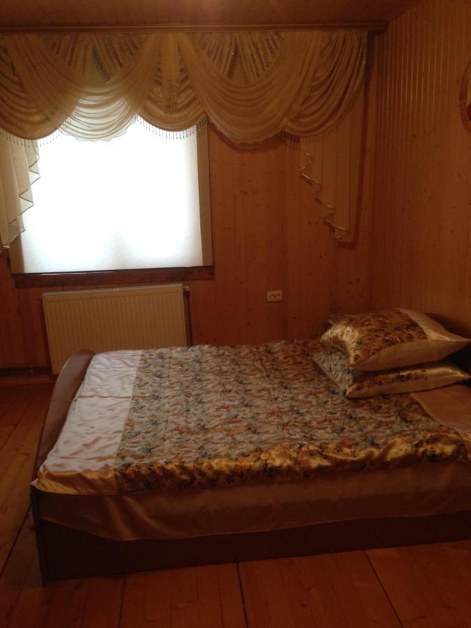 Карпатська Перлина Appartement Iltsi Buitenkant foto