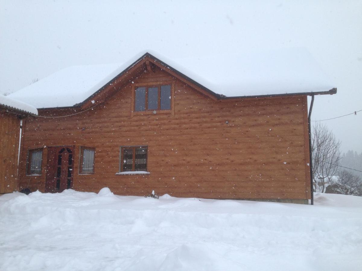Карпатська Перлина Appartement Iltsi Buitenkant foto
