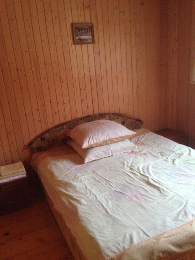Карпатська Перлина Appartement Iltsi Buitenkant foto