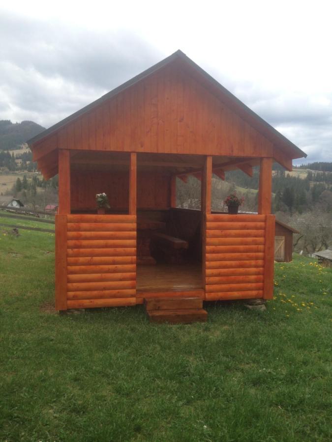 Карпатська Перлина Appartement Iltsi Buitenkant foto